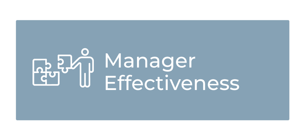 manager effectiveness